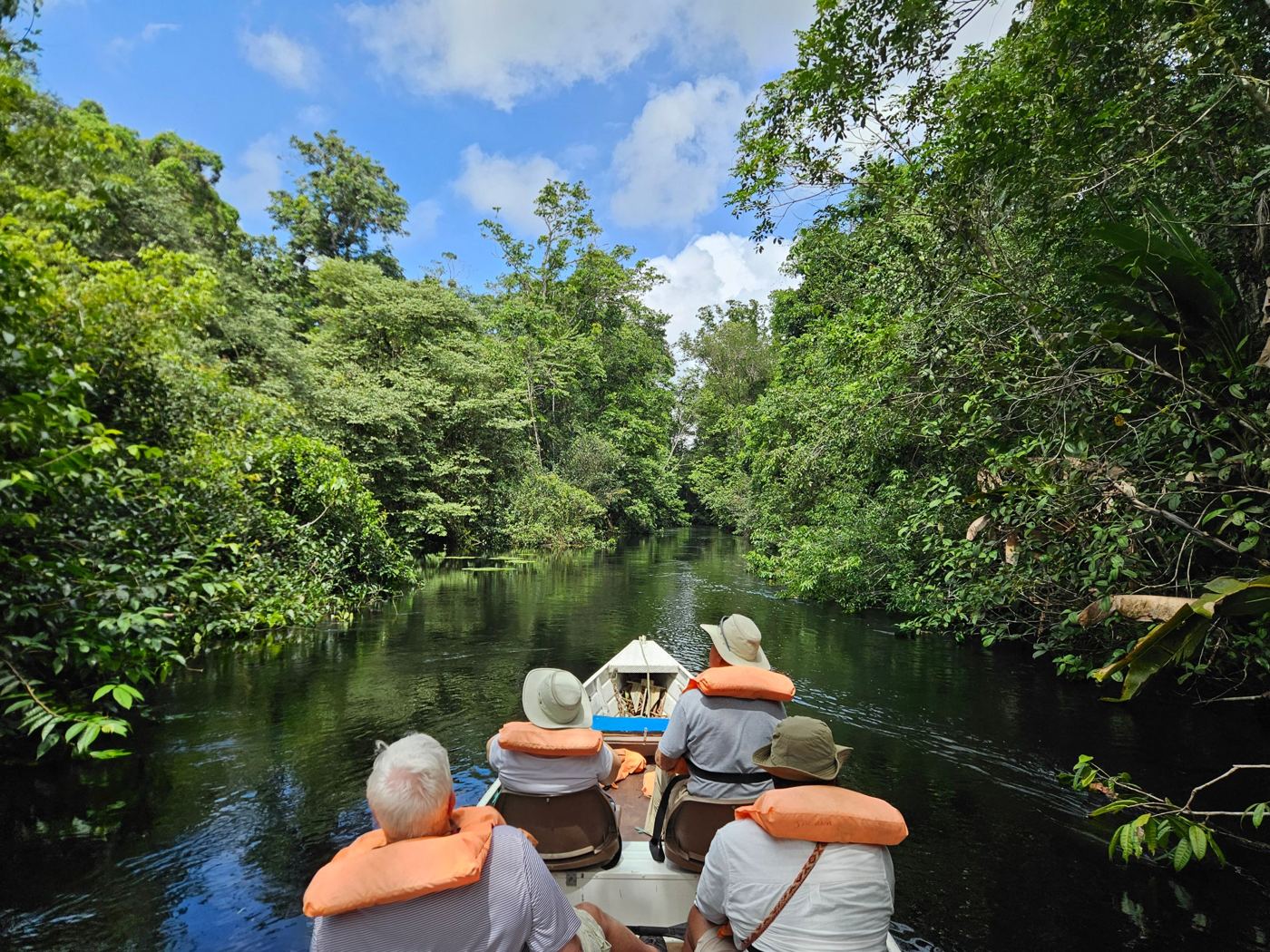 Le bateau remonte une crique étroite bordée de forêt dense